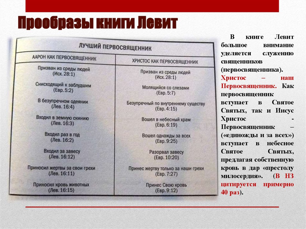 Прообразы книги Левит