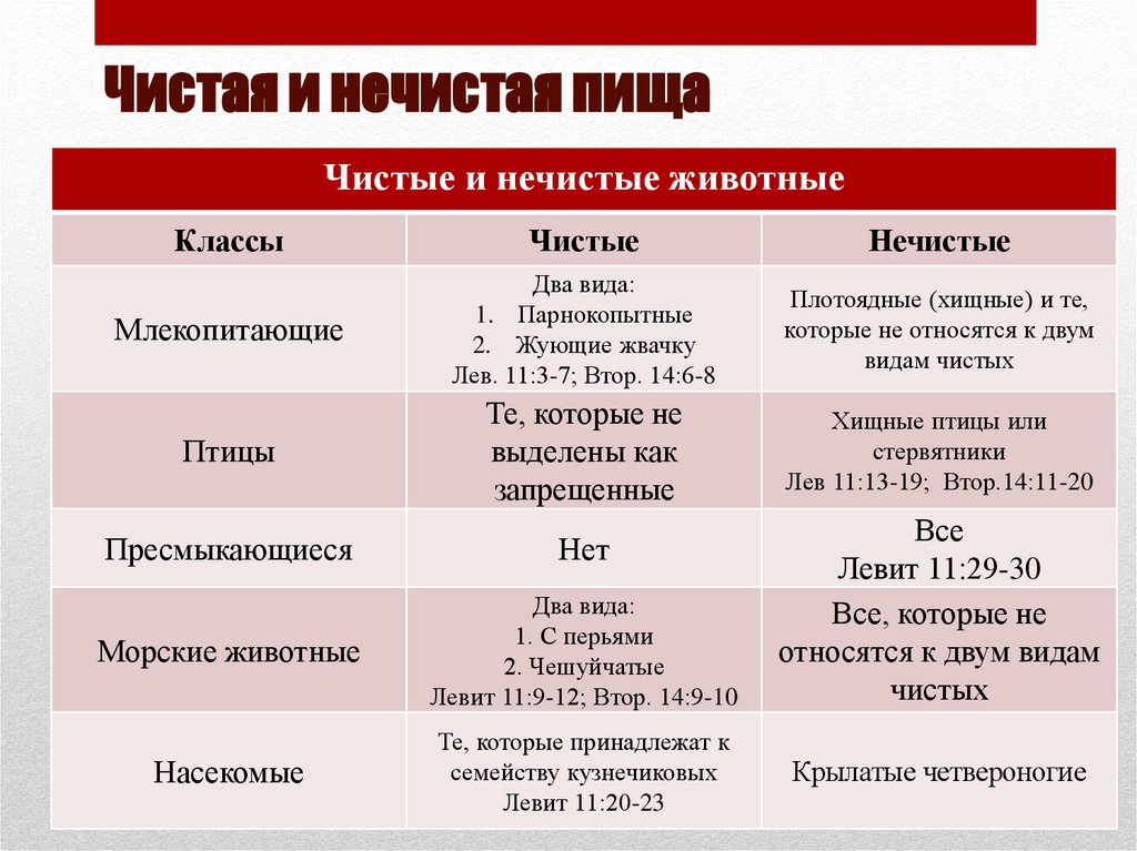 Чистая и нечистая пища