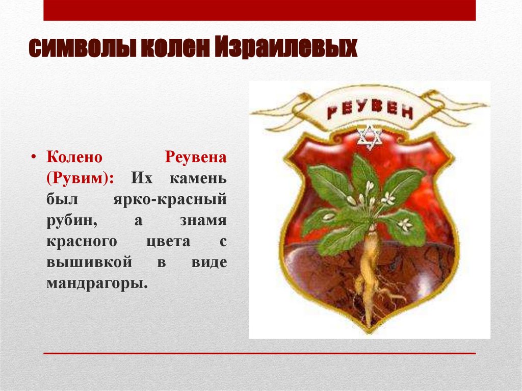 символы колен Израилевых