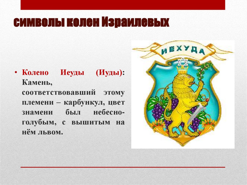 символы колен Израилевых