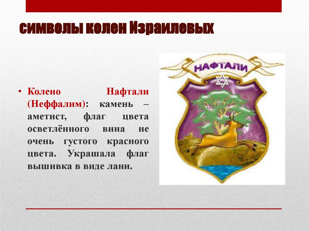 символы колен Израилевых