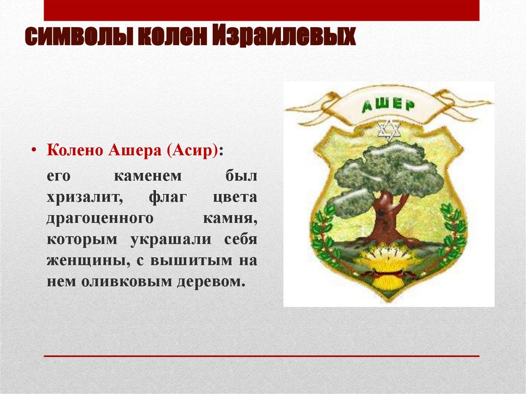 символы колен Израилевых