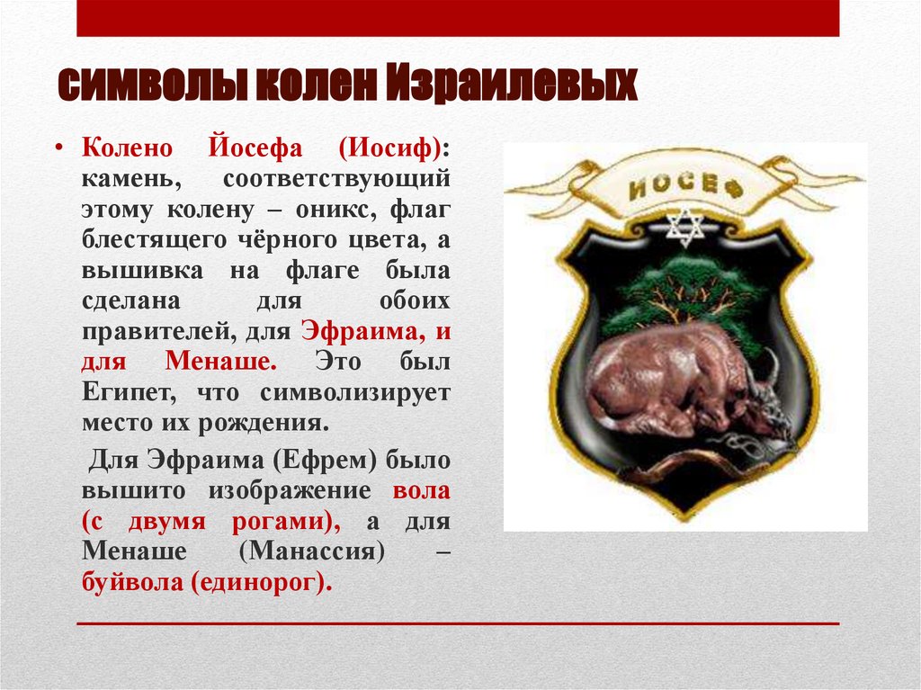 символы колен Израилевых