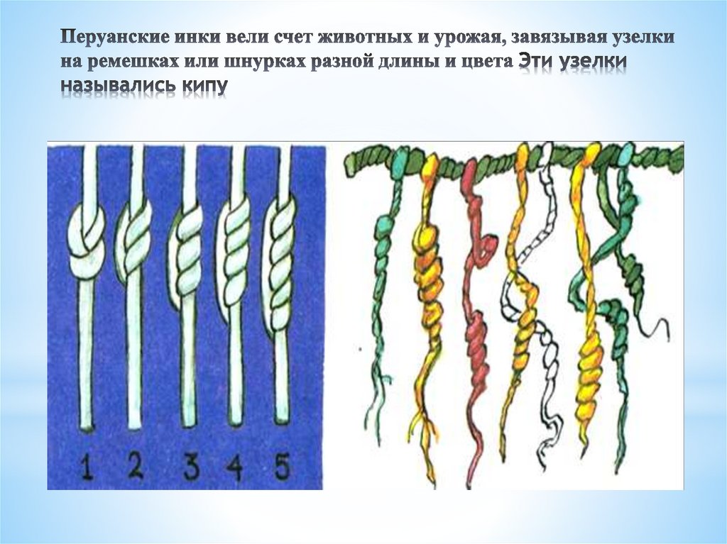 Перуанские инки вели счет животных и урожая, завязывая узелки на ремешках или шнурках разной длины и цвета Эти узелки