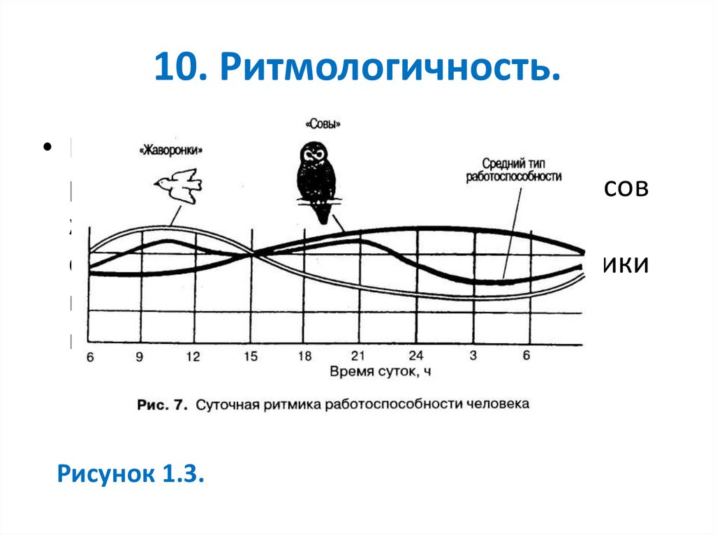 10. Ритмологичность.