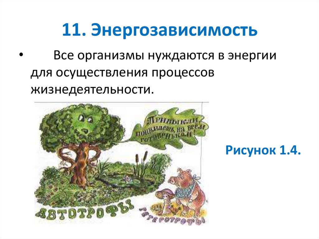 11. Энергозависимость
