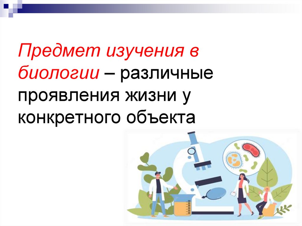 Предмет изучения в биологии – различные проявления жизни у конкретного объекта