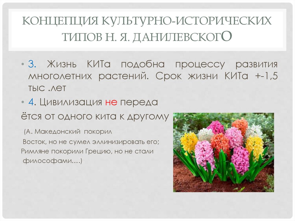 Концепция культурно-исторических типов Н. Я. Данилевского