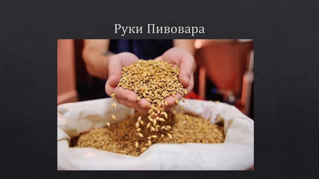 Руки Пивовара