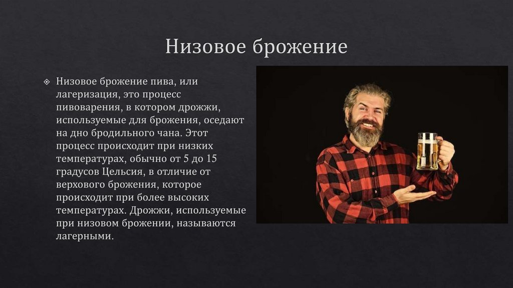 Низовое брожение