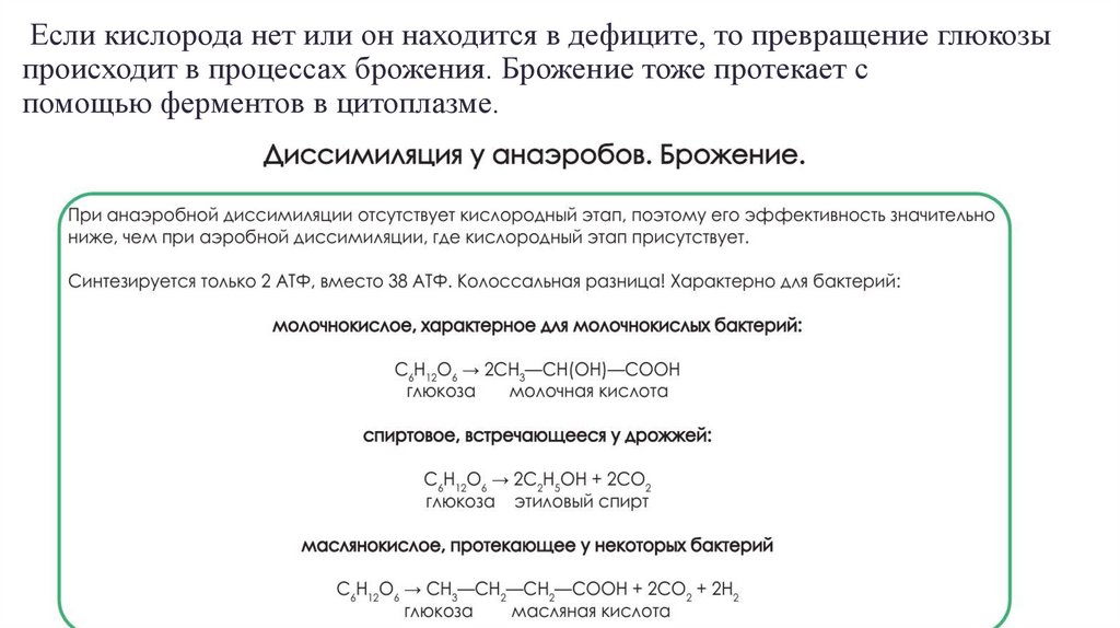  Если кислорода нет или он находится в дефиците, то превращение глюкозы происходит в процессах брожения. Брожение тоже