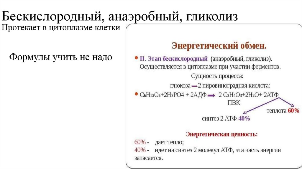 Бескислородный, анаэробный, гликолиз