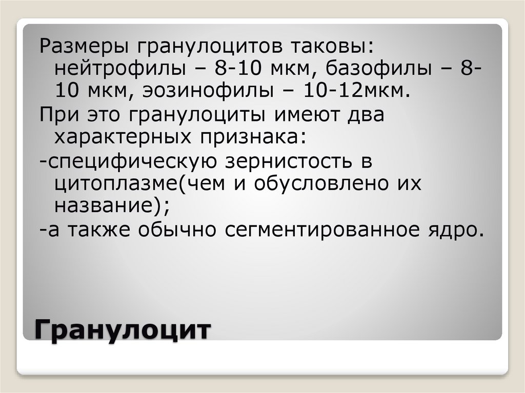 Гранулоцит