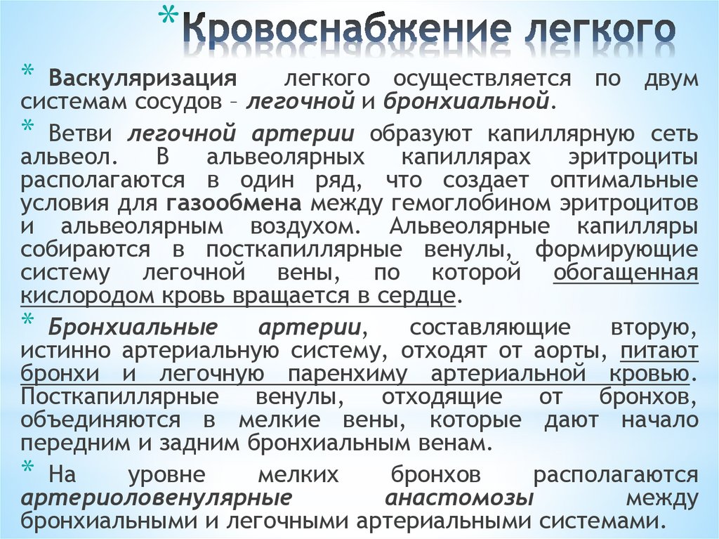 Кровоснабжение легкого