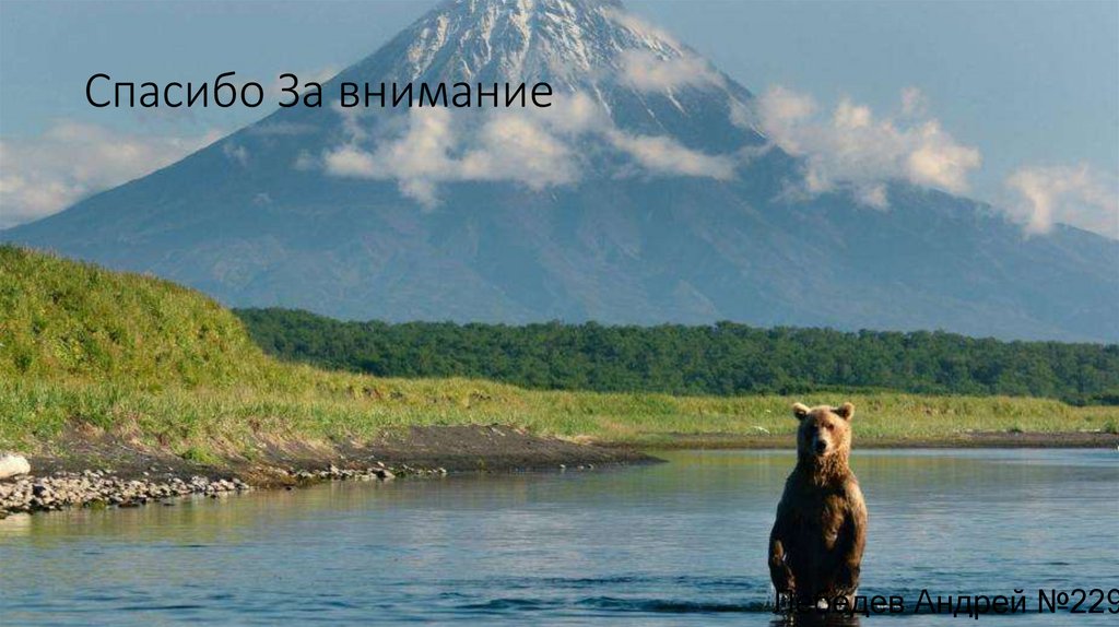 Спасибо За внимание