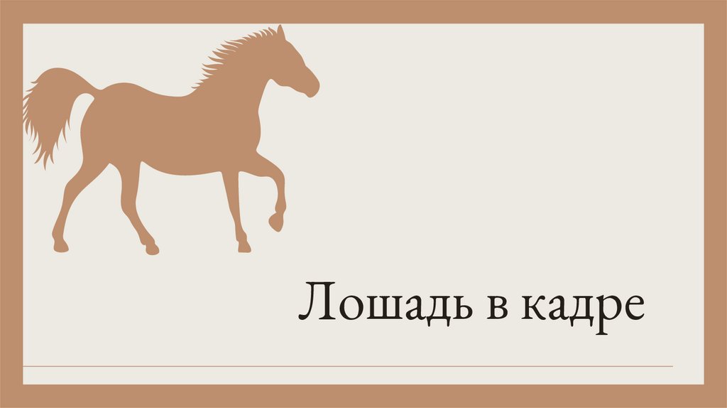Лошадь в кадре