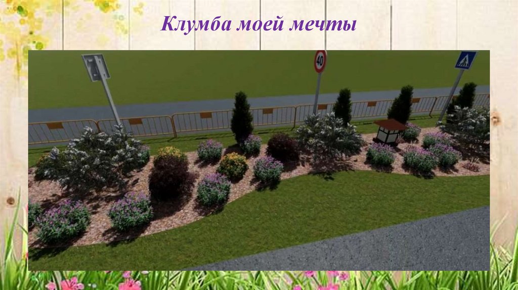 Клумба моей мечты