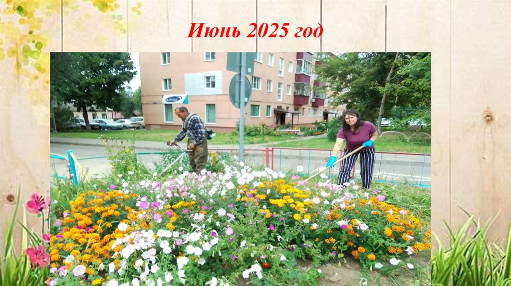 Июнь 2025 год