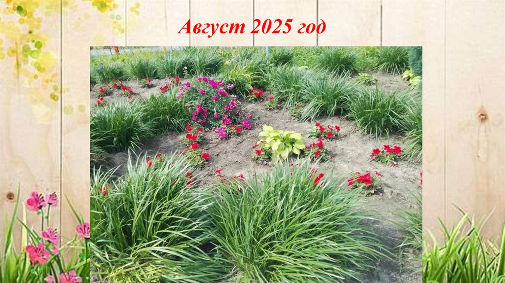 Август 2025 год