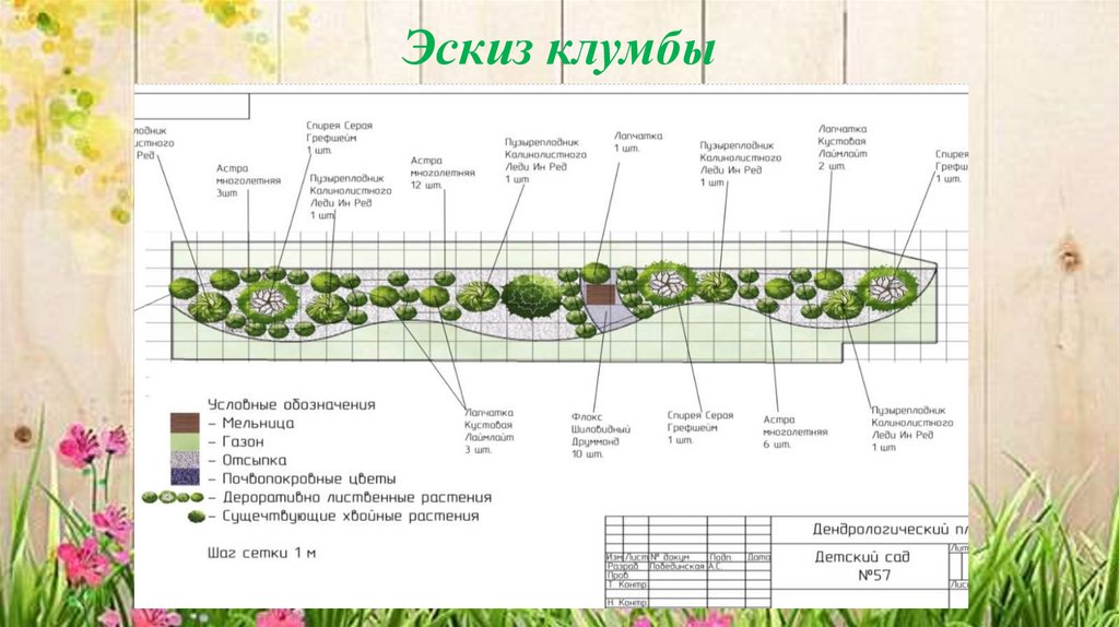 Эскиз клумбы
