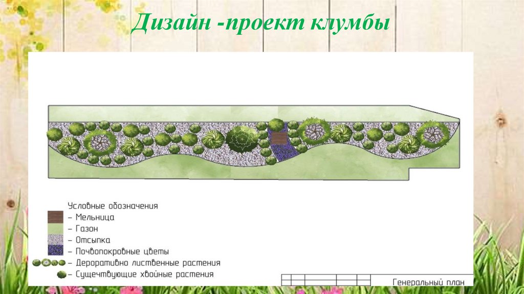 Дизайн -проект клумбы