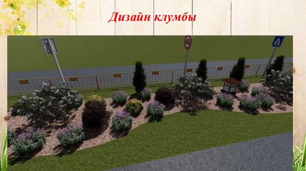 Дизайн клумбы