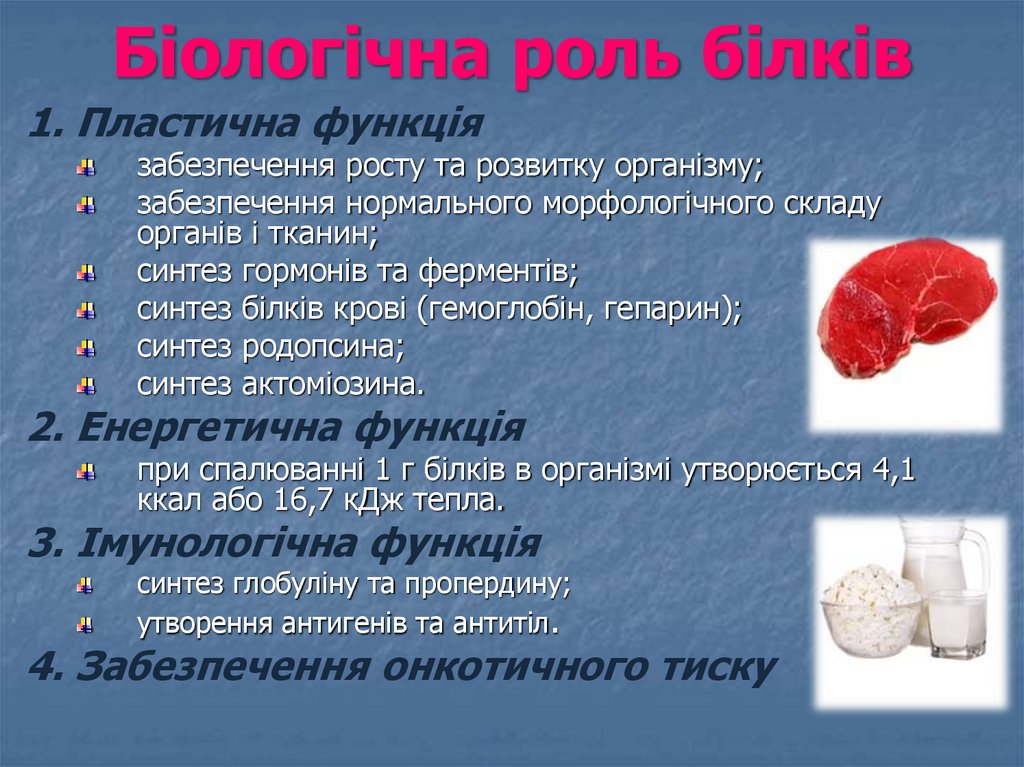 Біологічна роль білків