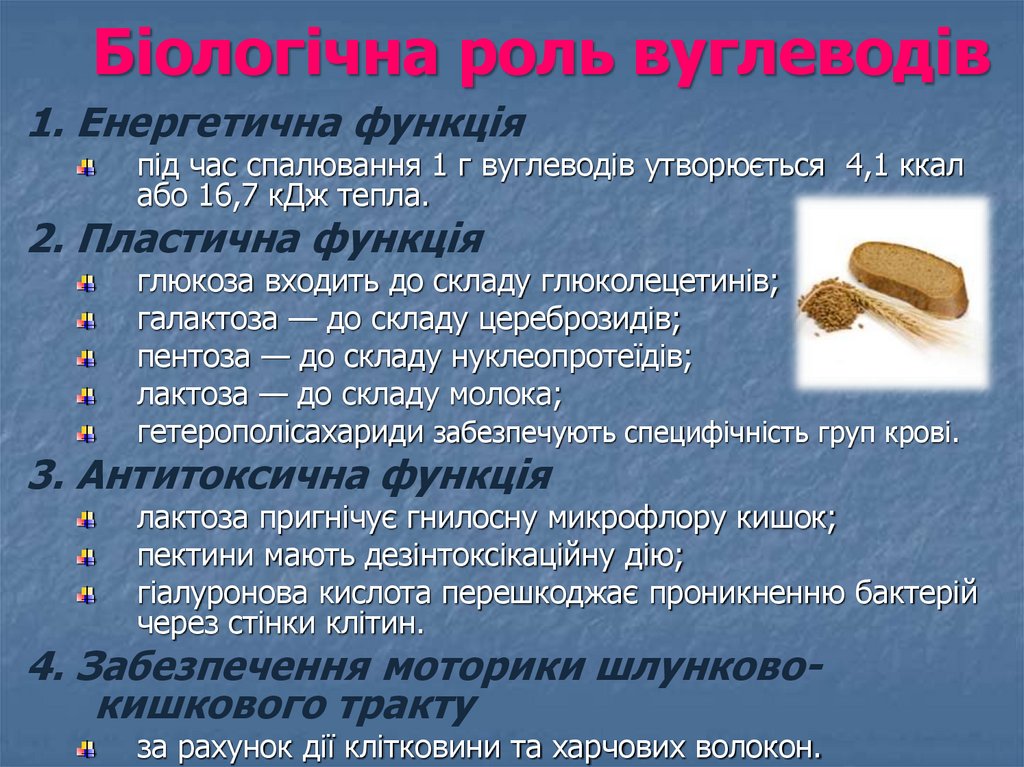 Біологічна роль вуглеводів