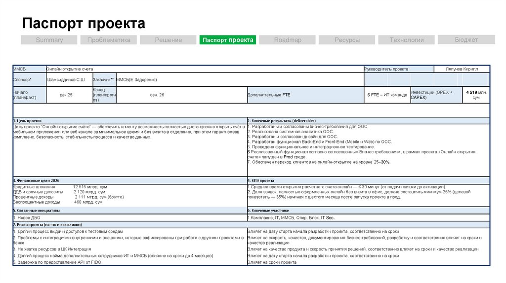 Паспорт проекта