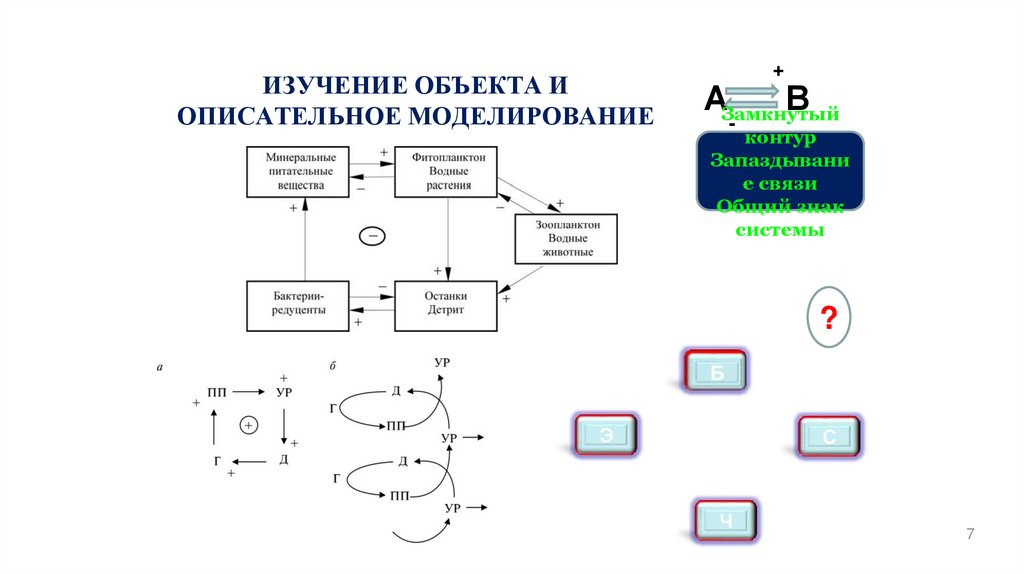 ИЗУЧЕНИЕ ОБЪЕКТА И ОПИСАТЕЛЬНОЕ МОДЕЛИРОВАНИЕ