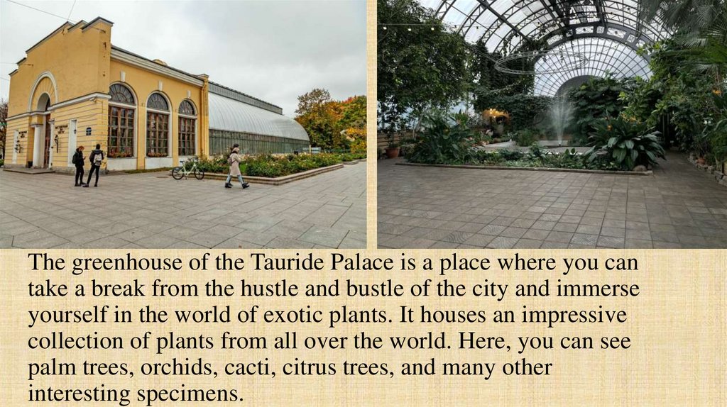 The greenhouse of the Tauride Palace is a place where you can take a break from the hustle and bustle of the city and immerse