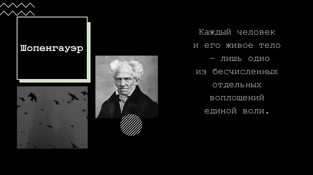 Шопенгауэр