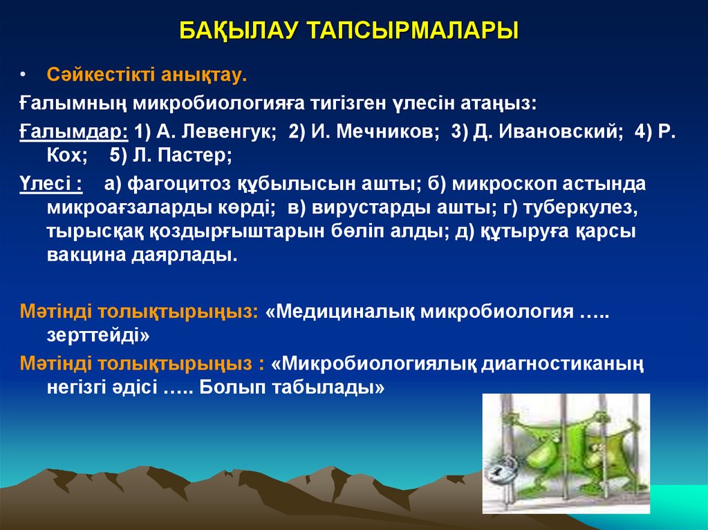 БАҚЫЛАУ ТАПСЫРМАЛАРЫ