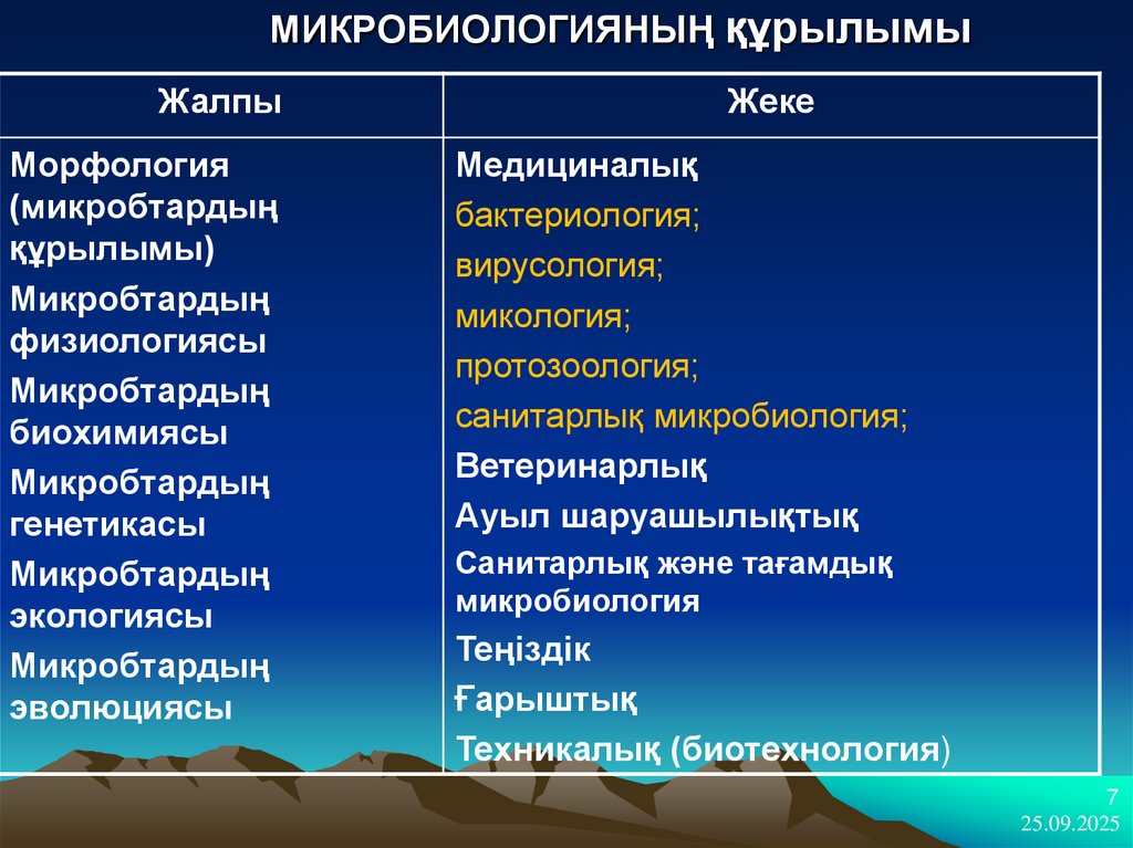 МИКРОБИОЛОГИЯНЫҢ құрылымы