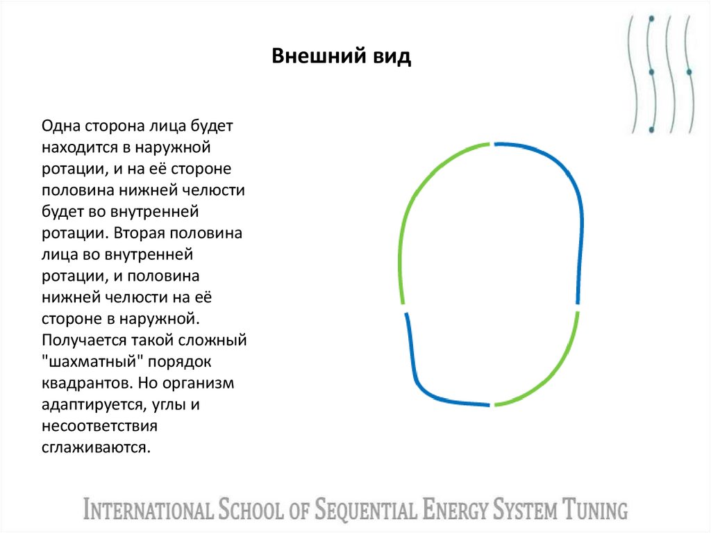 Внешний вид