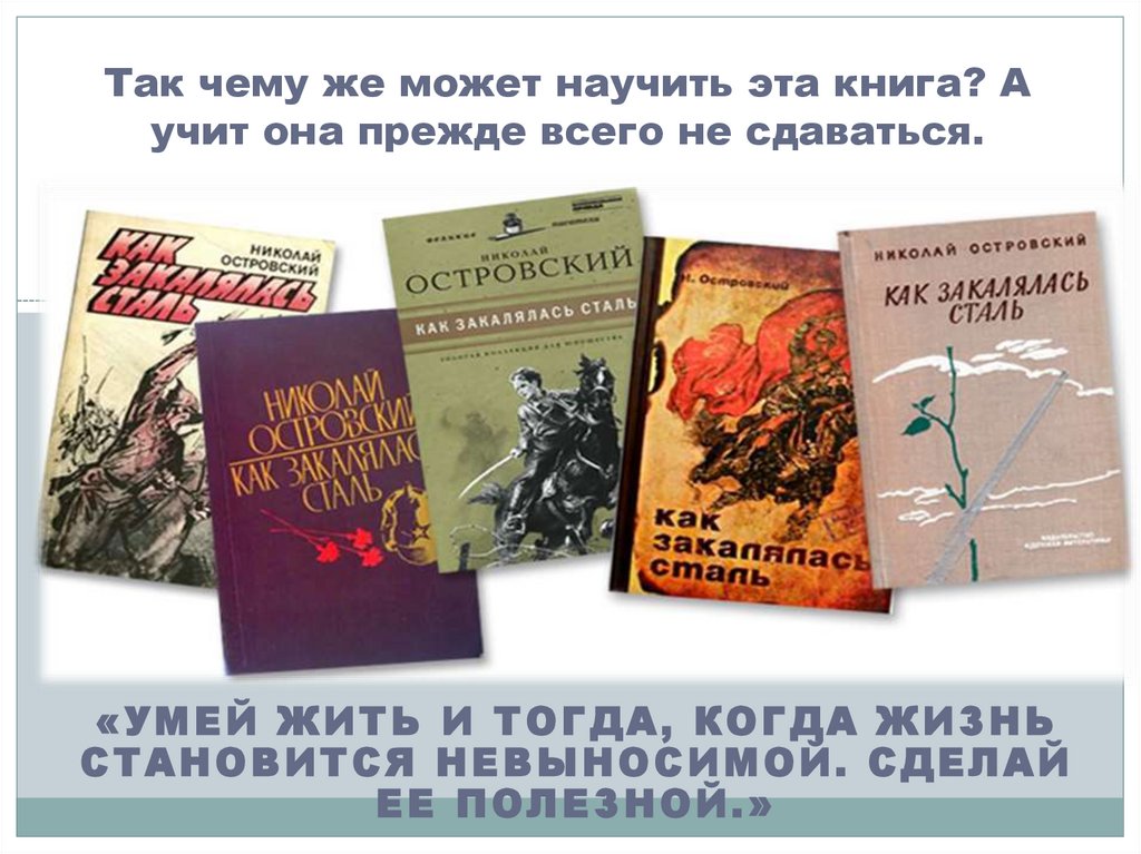 Так чему же может научить эта книга? А учит она прежде всего не сдаваться.
