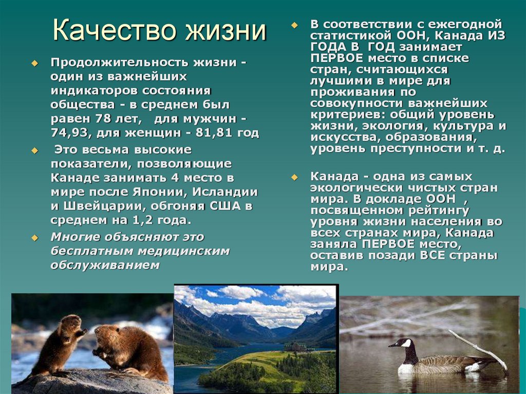 Качество жизни