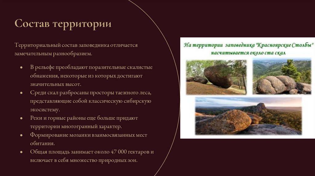 Состав территории