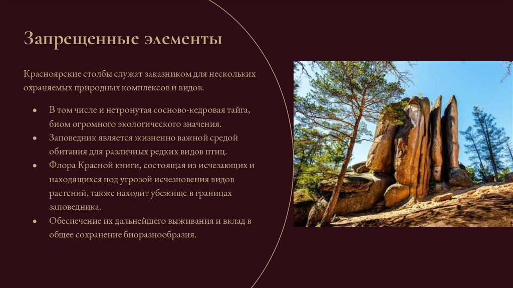 Запрещенные элементы