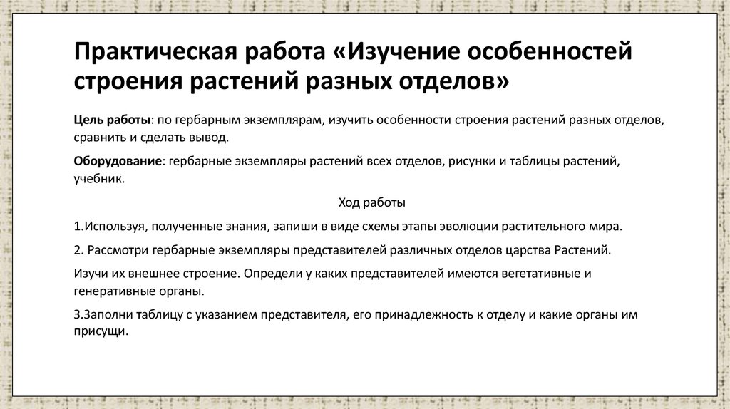 Практическая работа «Изучение особенностей строения растений разных отделов»