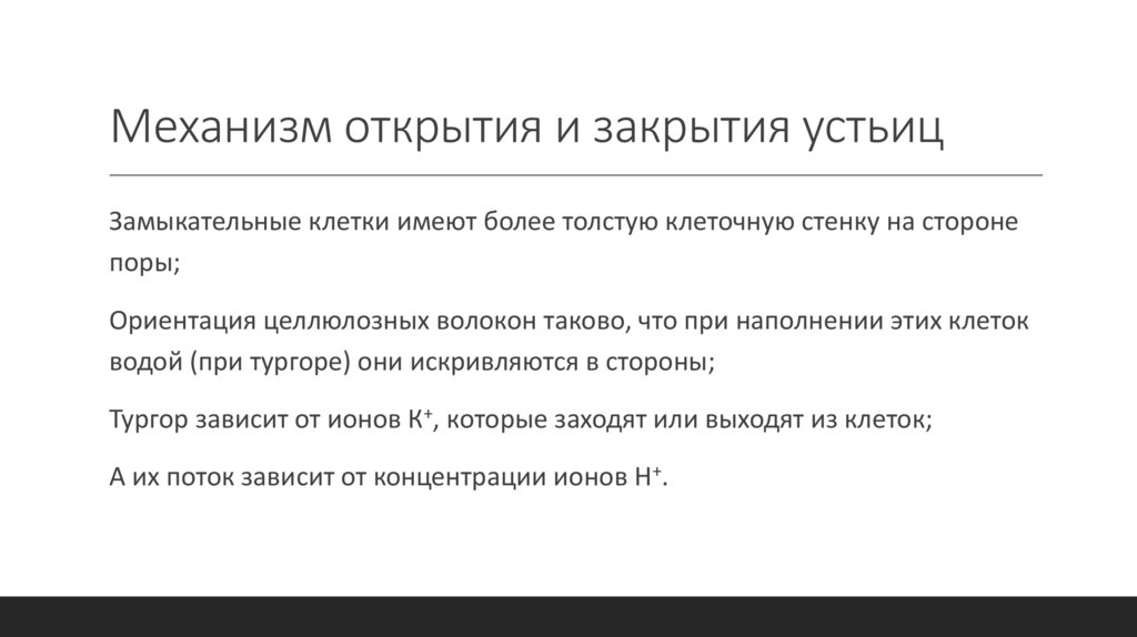 Механизм открытия и закрытия устьиц