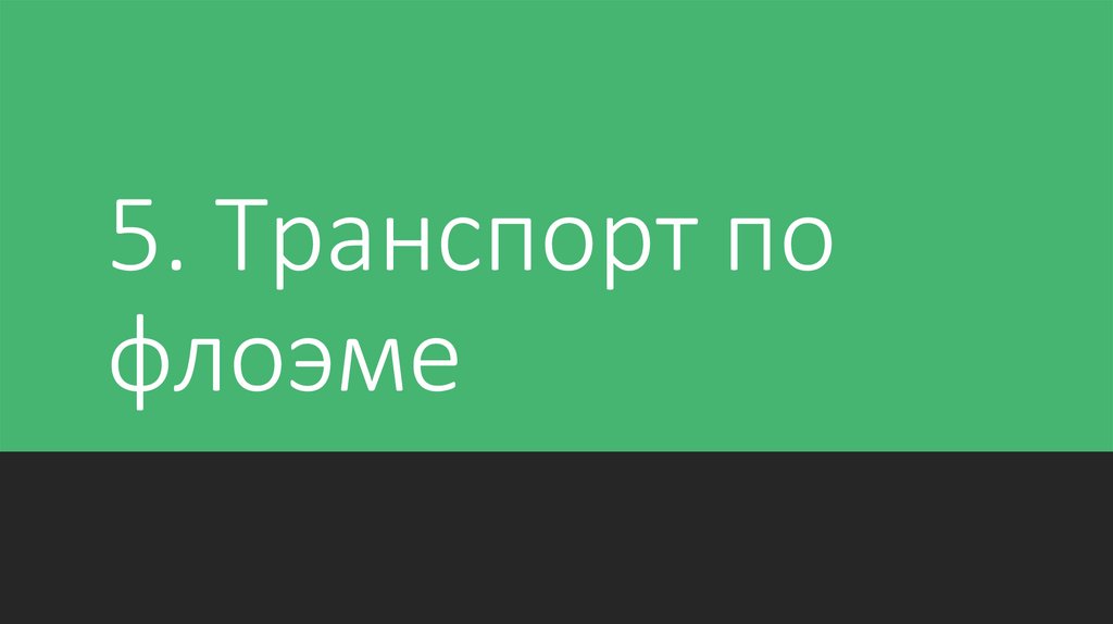 5. Транспорт по флоэме