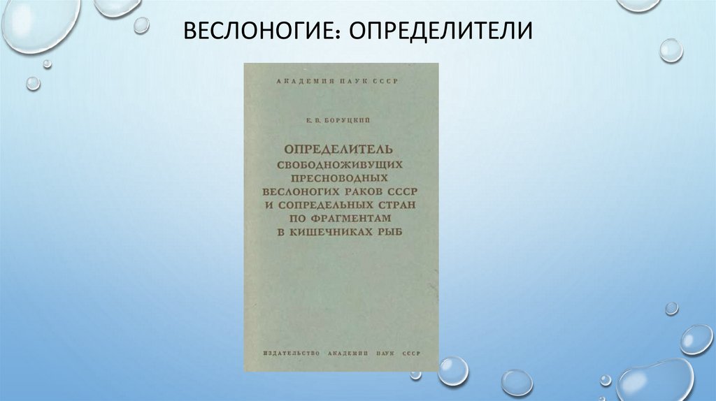 веслоногие: Определители