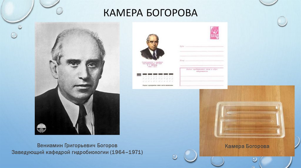 Камера Богорова