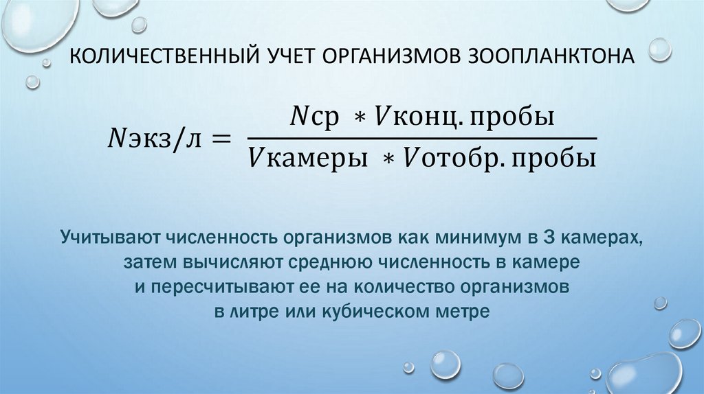 Количественный учет организмов зоопланктона