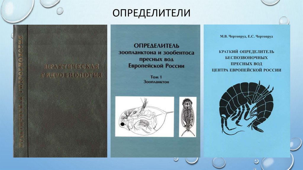 Определители