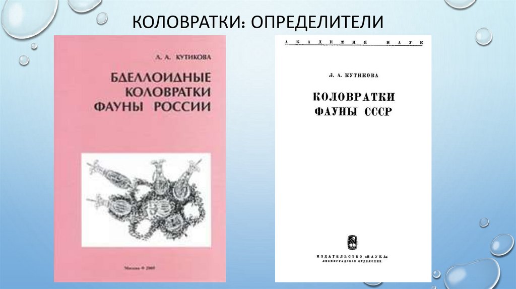 Коловратки: Определители