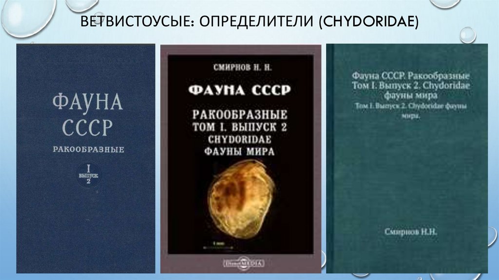 ветвистоусые: Определители (Chydoridae)