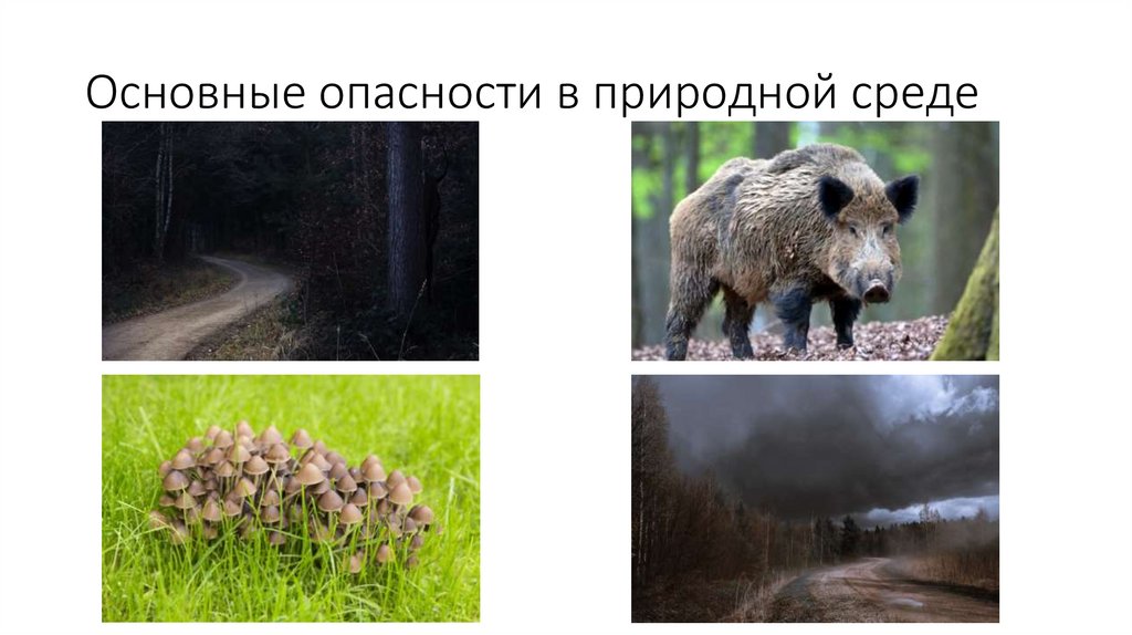 Основные опасности в природной среде