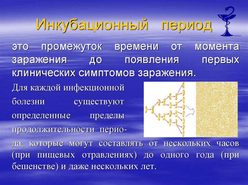 Инкубационный период